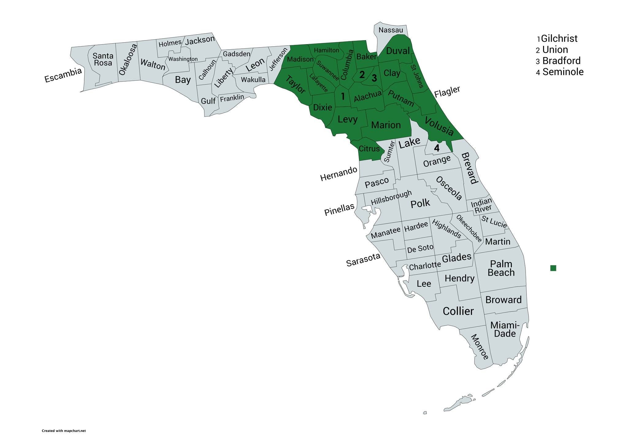 Florida county map showing Sky Monkey Media's 20-county service area highlighted in green across North and Central Florida